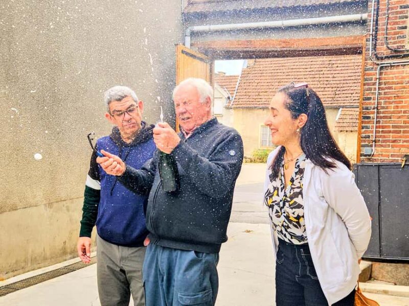 Ruinart Tasting and Fun Private Tour in Champagne - Discover the Ruinart Tasting and Fun Private Tour in Champagne