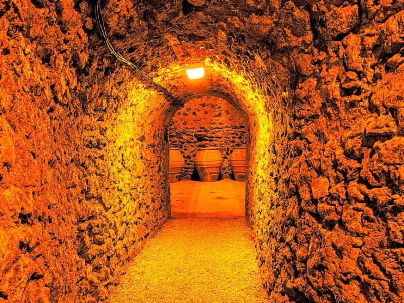 Ruinart Tasting and Fun Private Tour in Champagne - Vineyard Visit and Countryside Views