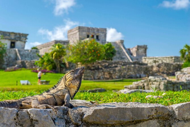 Ruins in Tulum Walking Tour with Audioguide (no ticket) - The Benefits of a Self-Guided Audio Tour in Tulum