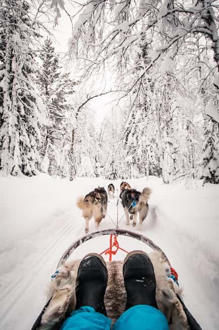 Ruka: 10km Husky Sled Ride with Snacks and Campfire - Thrilling 10km Husky Sled Ride in Ruka with Snacks and Campfire