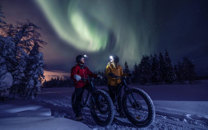 Ruka: Guided fatbike safari - Unique Highlights: Arctic Silence and Snowy Scenery