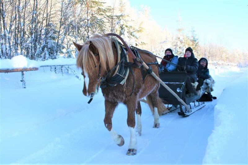 Ruka-Kuusamo: Horse-drawn Sleigh Ride in the Countryside - Ruka-Kuusamo: Horse-drawn Sleigh Ride in the Countryside