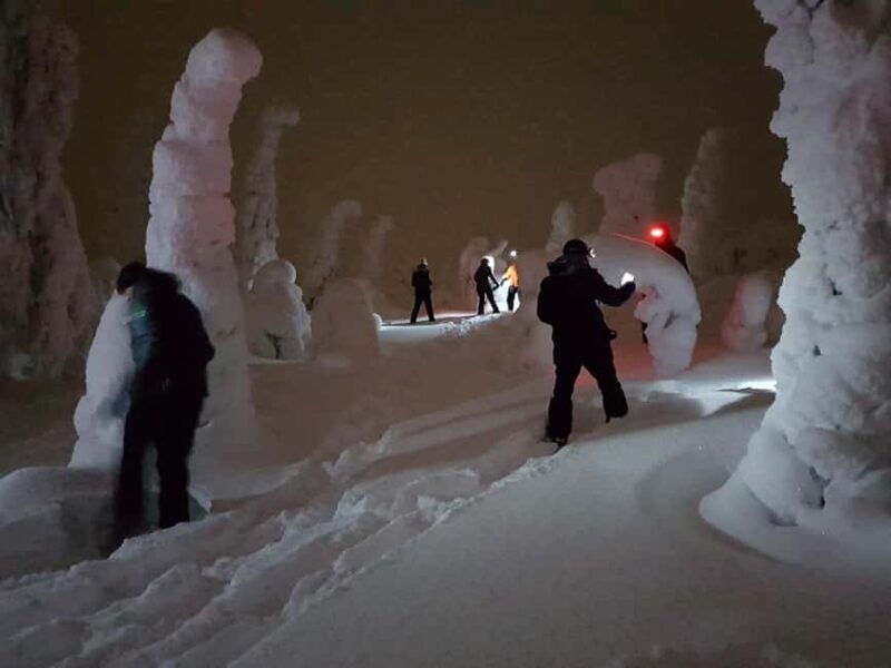 Ruka: Night Snowshoe Hike with Stargazing & Night Sky - Key Points