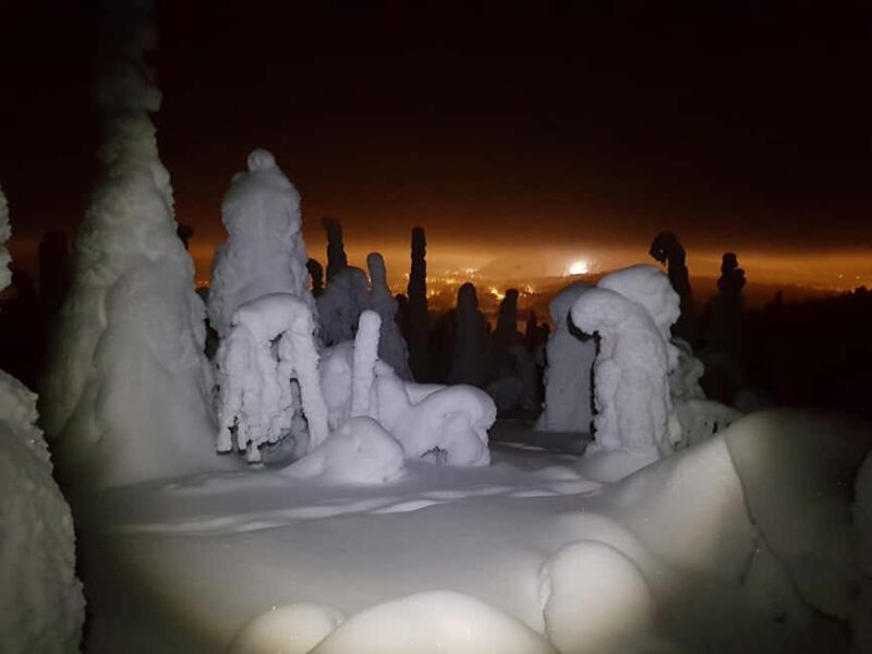 Ruka: Night Snowshoe Hike with Stargazing & Night Sky - Experience the Arctic Night on Snowshoes in Ruka