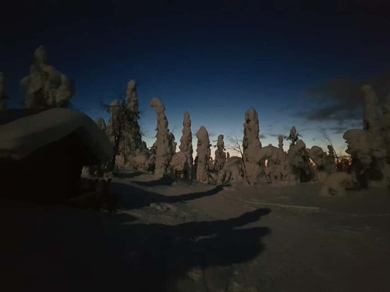 Ruka: Night Snowshoe Hike with Stargazing & Night Sky - Snowshoeing Through Valtavaara’s Winter Wonderland