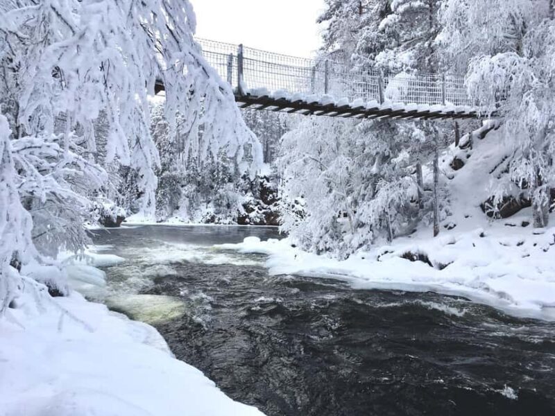 Ruka: Oulanka National Park Snowshoeing Tour - Key Points