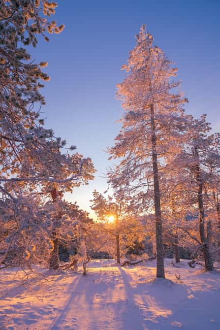 Ruka: Pyhävaara Snowshoeing Tour - Exciting Snowshoe Adventure in Finland’s Valtavaara-Pyhävaara Nature Reserve