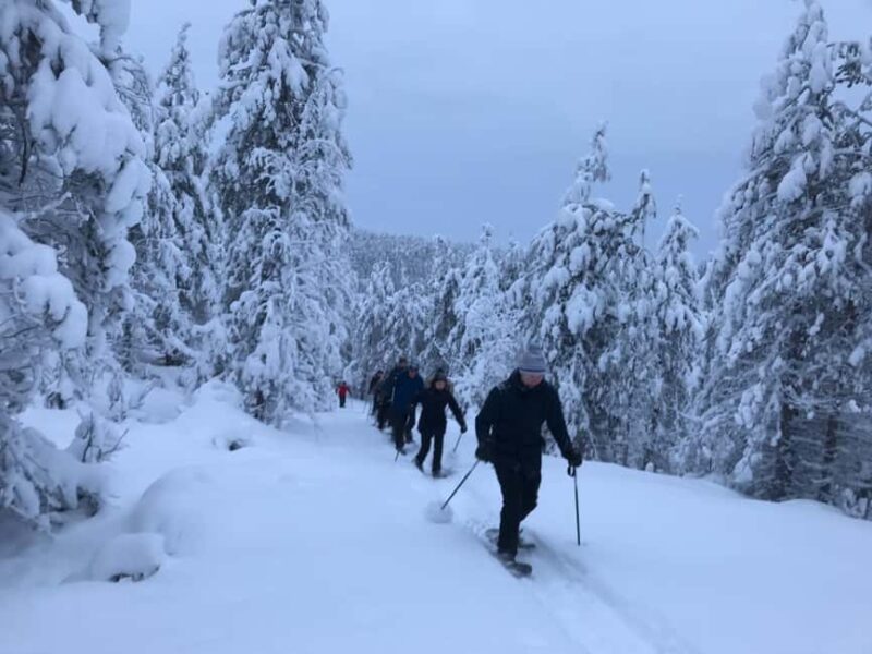 Ruka: Pyhävaara Snowshoeing Tour - Exploring the Valtavaara-Pyhävaara Nature Reserve