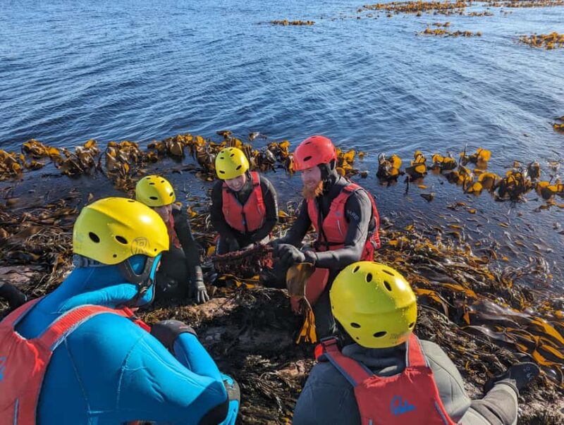 Runde: Coasteering Adventure with Guide and Gear - Exciting 2-Hour Coasteering Experience in Norway’s Stunning Coastline