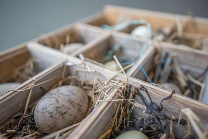 Runde: Guided Tour of Runde Enviromental Centre Exhibition - Practical Details: Accessibility and Cancellation Policy