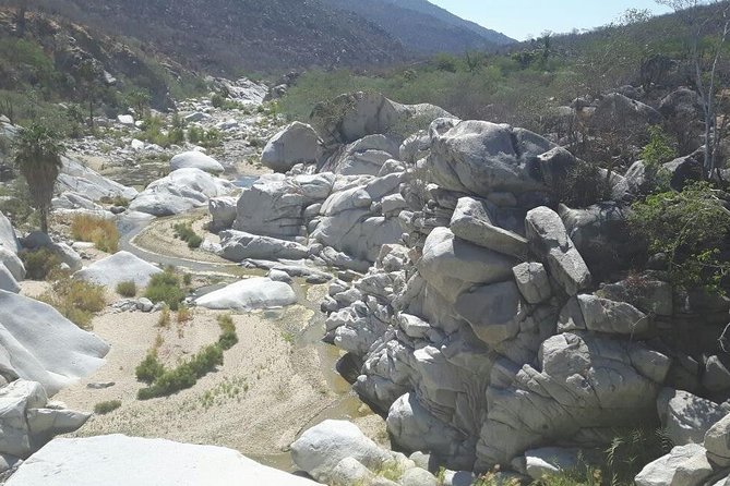 Rural And Hiking Expedition In Sierra La Laguna - Dining with Local Flavors: Fresh Vegetables in a Family-Style Setting