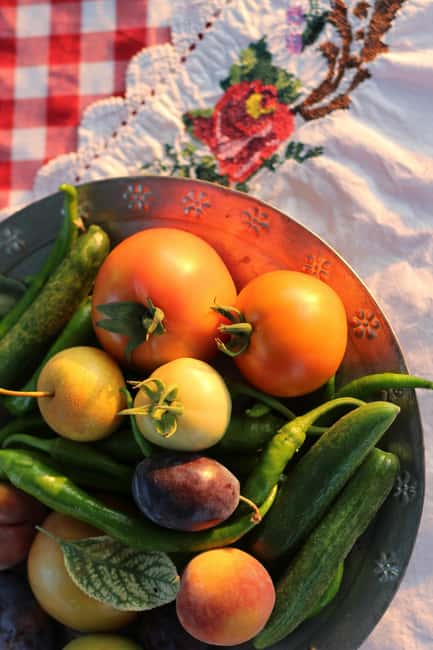 Rural Moldova: Best Yoga Farm Retreat for Soul and Body - Discover the Hillidava Yoga Farm in Transnistria