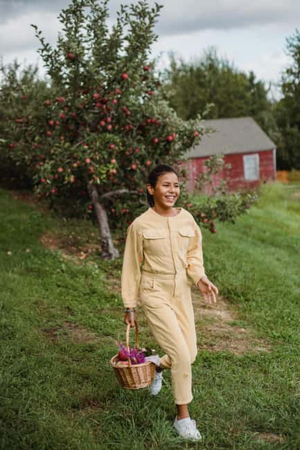 Rural Moldova: Best Yoga Farm Retreat for Soul and Body - The Unique Tranquility of a Digital Detox