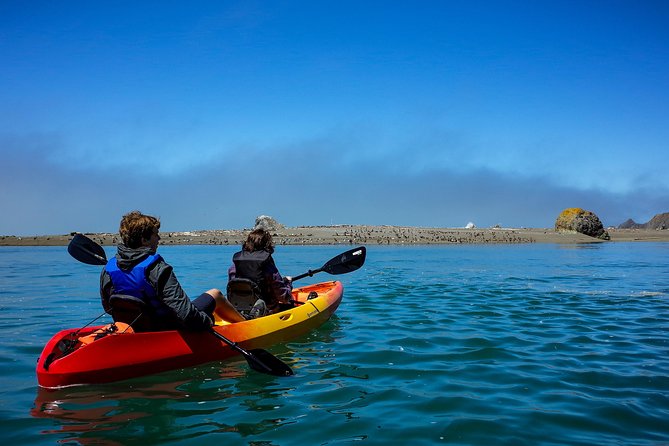 Russian River Kayak Tour at the Beautiful Sonoma Coast - Exploring the Calm Waters of the Russian River and Pacific Entrance