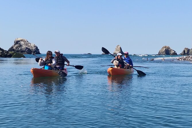 Russian River Kayak Tour at the Beautiful Sonoma Coast - Wildlife Encounters and Natural Highlights