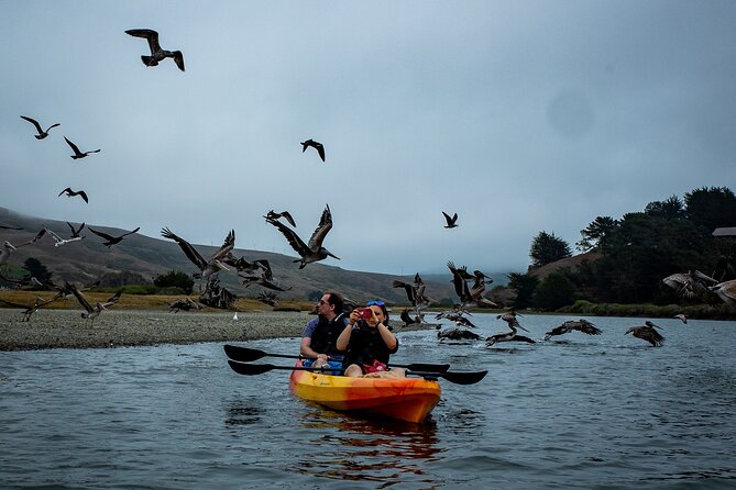 Russian River Kayak Tour at the Beautiful Sonoma Coast - The Guides: Knowledgeable, Friendly, and Attentive