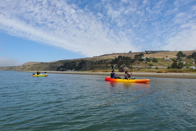 Russian River Kayak Tour at the Beautiful Sonoma Coast - Weather Conditions and Cancellation Policy