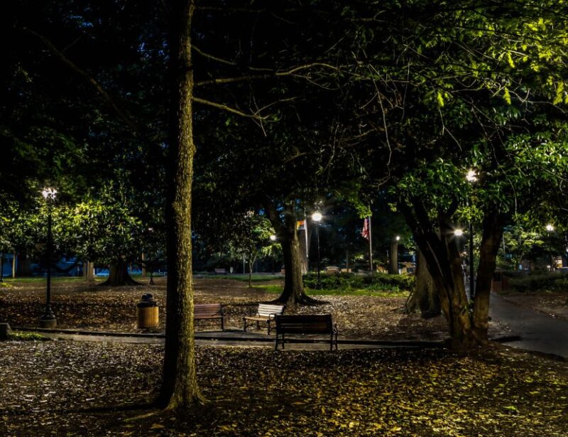 Rust, Rebels & Ruins: Raleigh Ghost Tours - Uncover Raleigh’s Haunted Secrets in Just One Hour