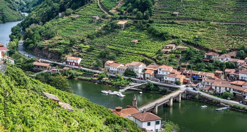 Ruta Ribeira Sacra and Sarria: Between Vineyards, History and the Way of Saint James - Explore Galicia’s Ribeira Sacra and Sarria in One Day