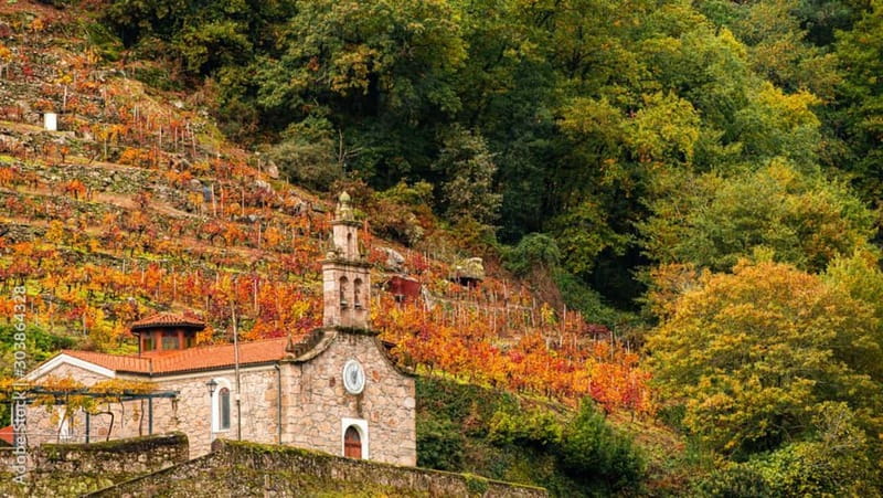 Ruta Ribeira Sacra and Sarria: Between Vineyards, History and the Way of Saint James - Key Points