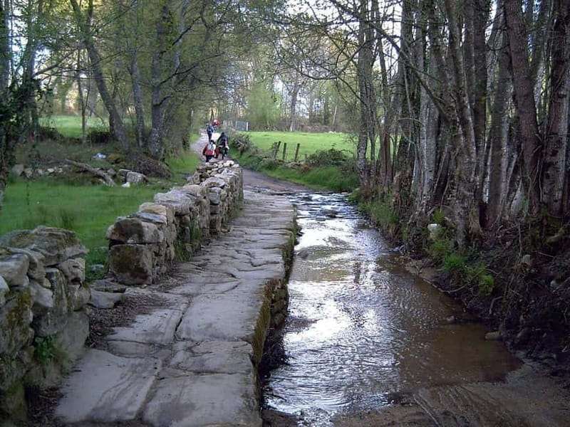 Ruta Ribeira Sacra and Sarria: Between Vineyards, History and the Way of Saint James - Taboada Viewpoint: Panoramic Galicia