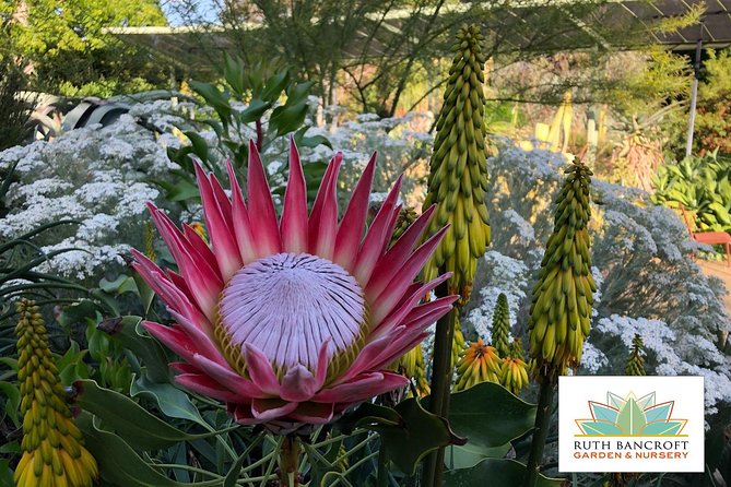 Ruth Bancroft Garden General Admission Ticket - Key Points