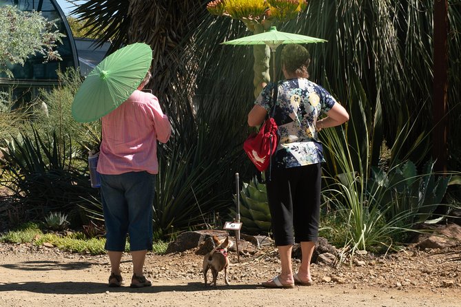 Ruth Bancroft Garden General Admission Ticket - Accessibility and Visitor Amenities