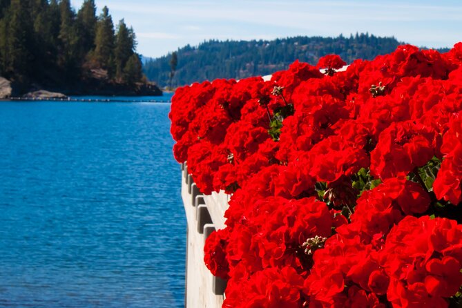 Rydables Discover Coeur dAlene Guide Tour - Accessibility and Comfort on Rydables