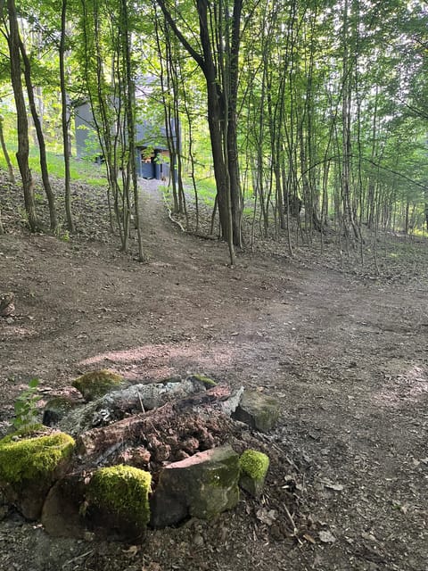 Rzeszów: Countryside trip with bonfire & sausage grilling - Discover the Charm of the Polish Countryside Near Rzeszów