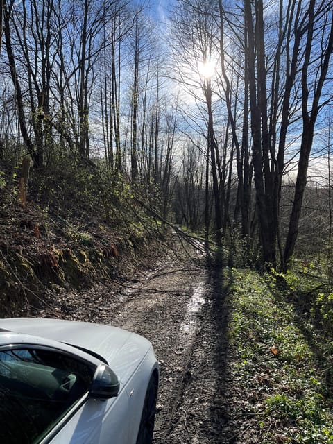 Rzeszów: Countryside trip with bonfire & sausage grilling - Key Points