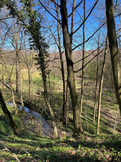Rzeszów: Countryside trip with bonfire & sausage grilling - Transport and Scenic Drive Into the Countryside