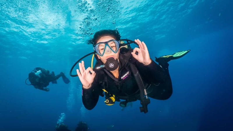 S Tenerife: Guided Boat Dive for Qualified Divers - Key Points
