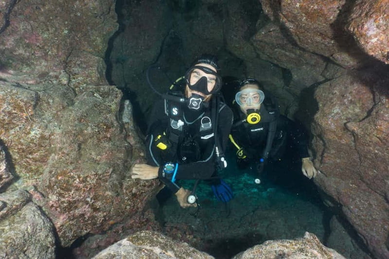 S Tenerife: Guided Boat Dive for Qualified Divers - The Sum Up: An Excellent Choice for Certified Divers