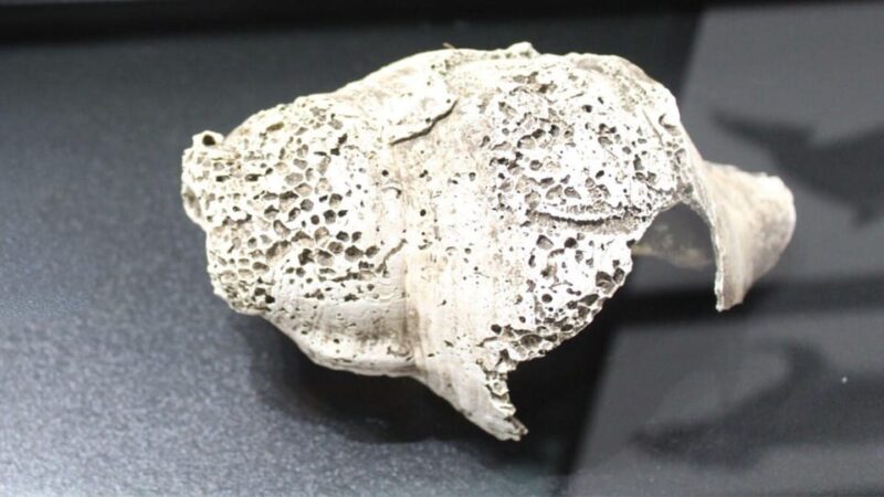 S. Teresa Gallura: Lu Brandali & Longosardo Tower ticket - Visiting Santa Teresa Gallura’s Archaeological Exhibition