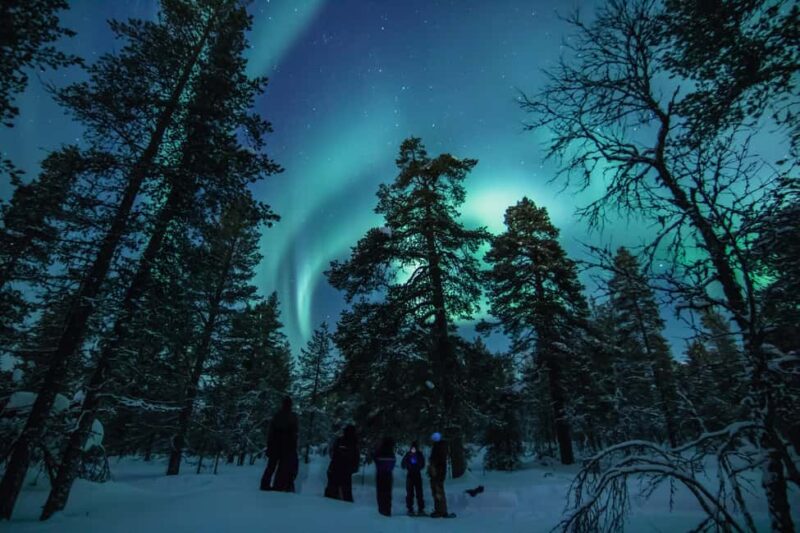 Saariselkä: Aurora Hunting & Reindeer Wilderness Experience - Second Aurora Spot Visit for the Best Chance to See the Lights
