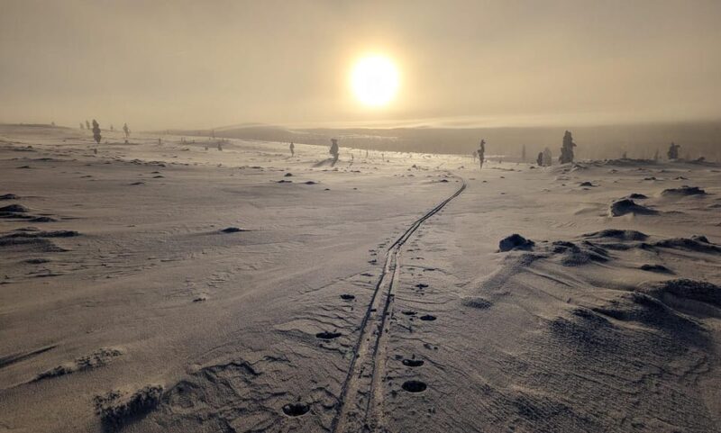 Saariselkä: Back-Country Skiing Guided Tour - Exciting Off-Trail Skiing in Laplands Wilderness for $91