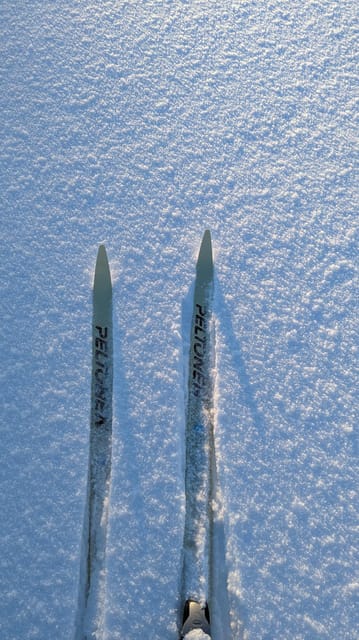 Saariselkä: Back-Country Skiing Guided Tour - Navigating the Forests and Fells