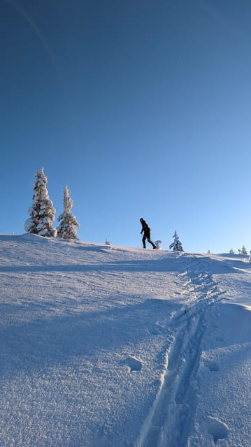 Saariselkä: Back-Country Skiing Guided Tour - Weather and Conditions Impacting the Tour