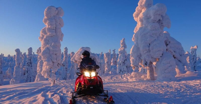 Saariselkä: Evening Snowmobile Tour with Fire & picnic - Key Points