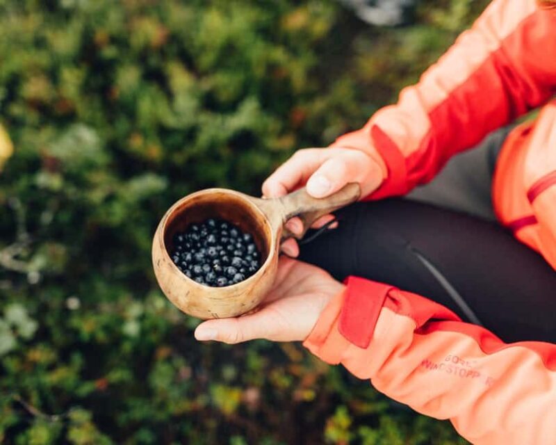 Saariselkä: Forest Treasures Excursion with Outdoor Lunch - Learning About Local Flora and Fauna