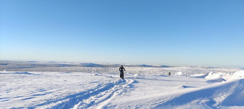 Saariselkä: Guided Fatbike Tour - Key Points