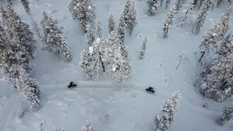 Saariselkä: Guided Fatbike Tour - Route Options: Easy Forest Trails and Challenging Fells