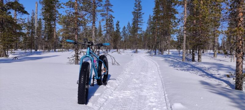 Saariselkä: Guided Fatbike Tour - Evening Fatbike Adventures for a Nighttime Experience