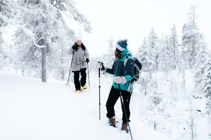 Saariselkä: GUIDED FOREST SNOWSHOE WALK - Key Points