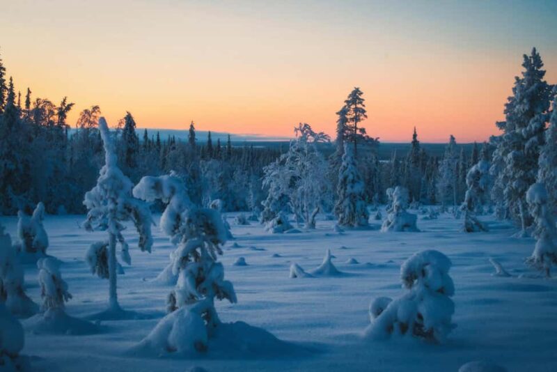 Saariselkä: GUIDED FOREST SNOWSHOE WALK - Discover the Calm of Winter with a Guided Forest Snowshoe Walk
