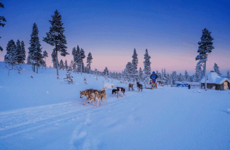 Saariselkä: Husky Safari with Aurora Borealis Hunt - Experience a 3-Hour Husky Safari and Aurora Borealis Hunt in Saariselkä