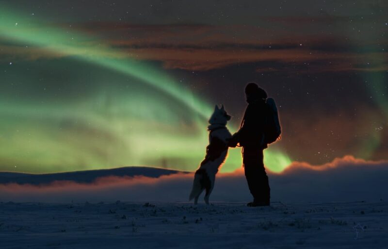 Saariselkä: Husky Safari with Aurora Borealis Hunt - Thermal Clothing and Equipment Provided for Comfort
