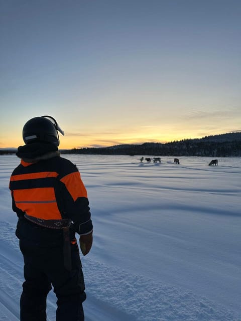Saariselkä: Ice Fishing Tour to Lake Inari, reindeers& lunch - Lunch in a Traditional Lappish Teepee