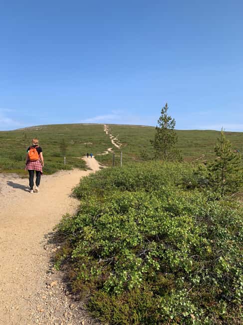Saariselkä: Muotka Hiking Trip - Explore Lapland’s Wilderness on a Family-Friendly Hike from Muotka