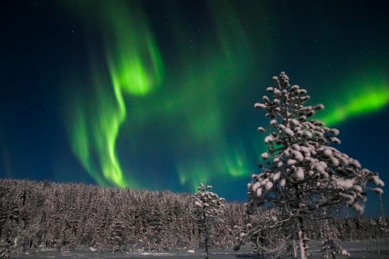 Saariselkä: Northern Lights Hunting Snowshoe Trip - Experience the Magic of Northern Lights Viewing